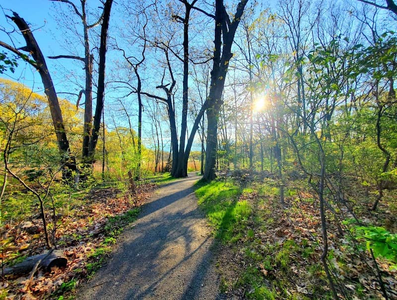 Forest River Conservation Area - Image 2