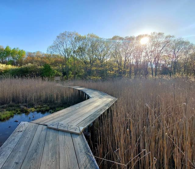 Forest River Conservation Area - Image 1