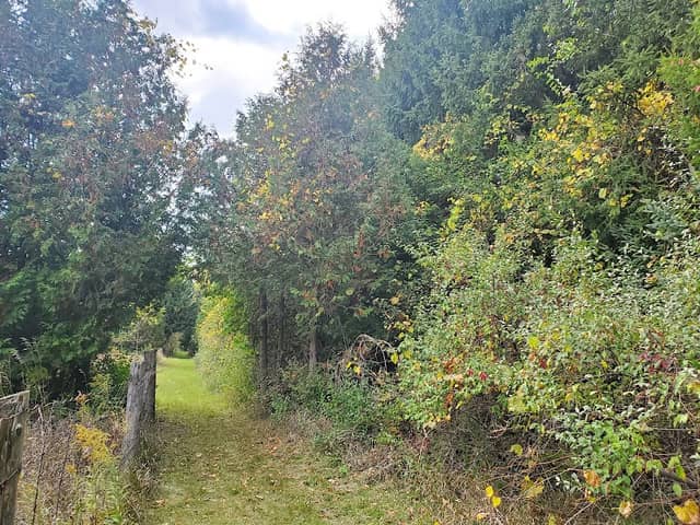 John Goldie Nature Reserve - Image 1
