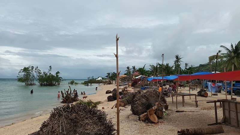 Kasadya Public Beach - Image 1