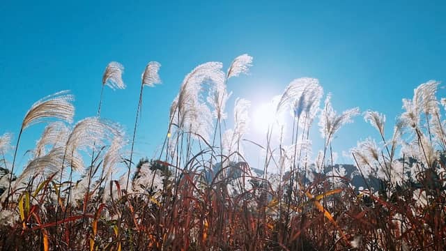 중앙공원 - Image 1