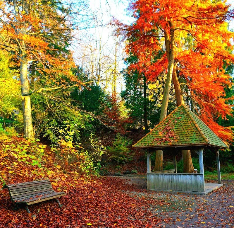 Sitzplatz Hofgarten - Image 1