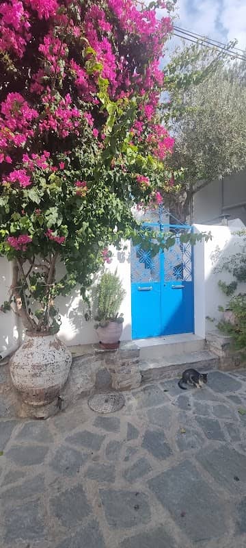 Sarah Moore’s house Home Greek Home - Image 1