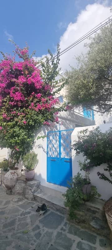 Sarah Moore’s house Home Greek Home - Image 2