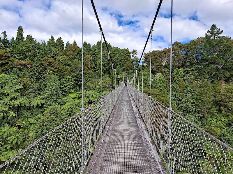 Arapuni Suspension Bridge - Image 1
