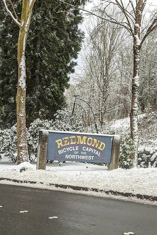 Redmond City Sign - Image 2