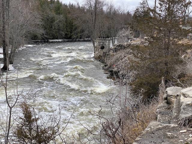 Forest Mills Falls - Image 1