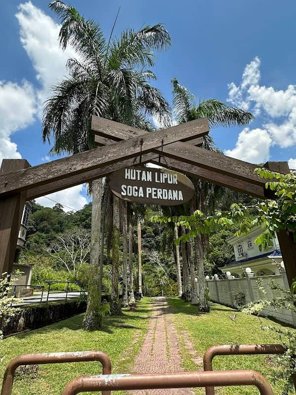 Bukit Perdana Observer Deck - Image 1