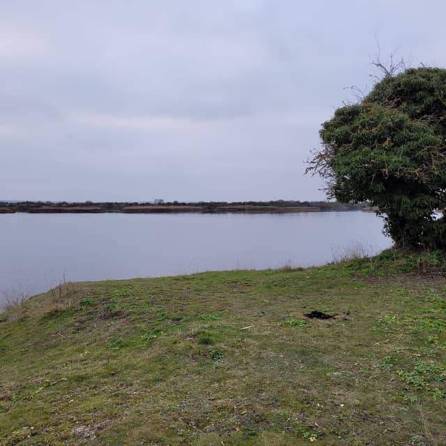 Cliffe Pools - Image 3