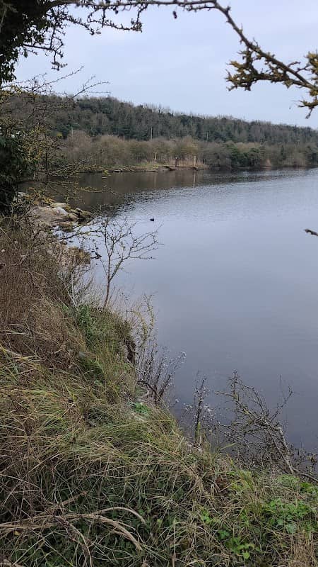 Cliffe Pools - Image 2
