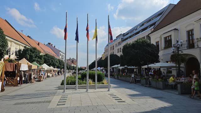 Znak mesta Trnava s geografickými údajmi - Image 1