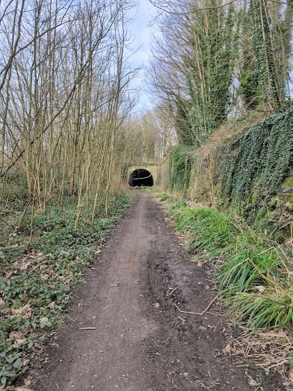 Crookilley Woods - Image 2
