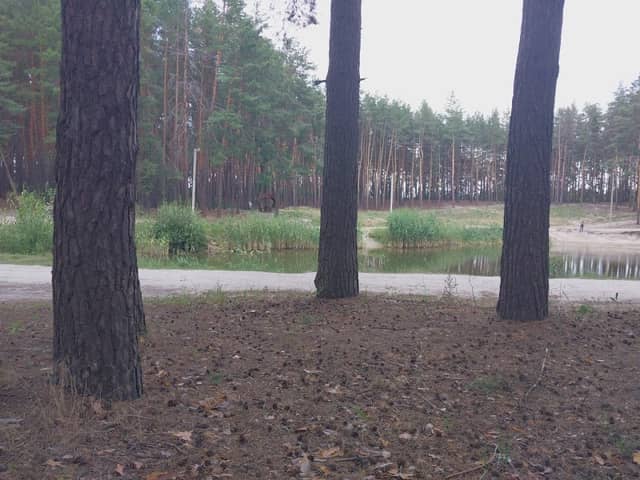 Озеро Лесное - Image 1