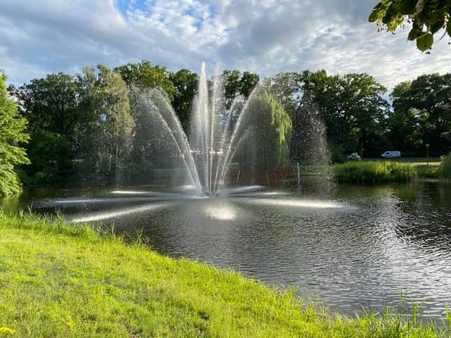 Goethepark Amtsteich - Image 1