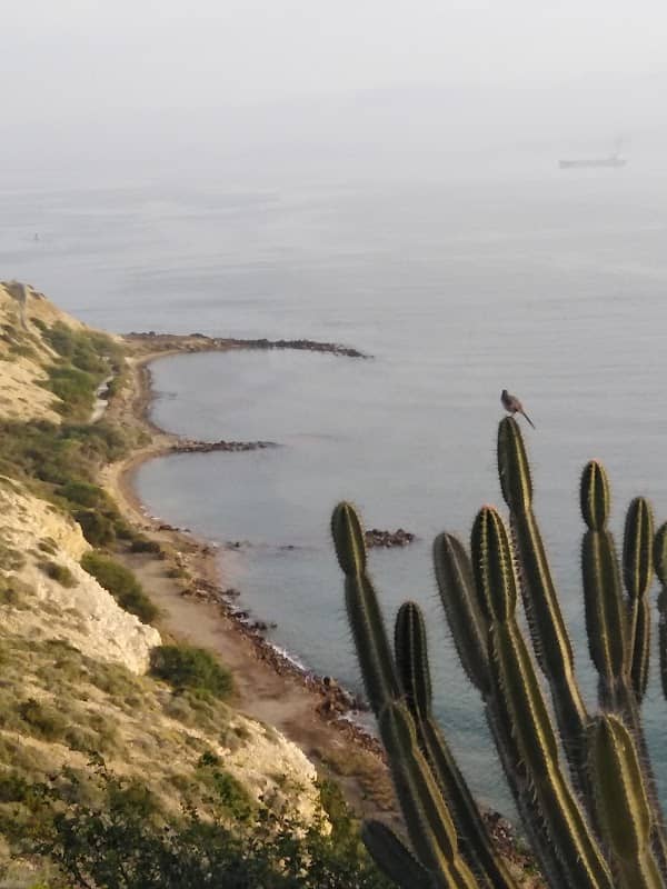 Terrazas del Morro. (Mirador) - Image 2