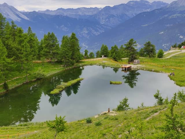 Parco Naturale del Gran Bosco di Salbertrand - Image 1