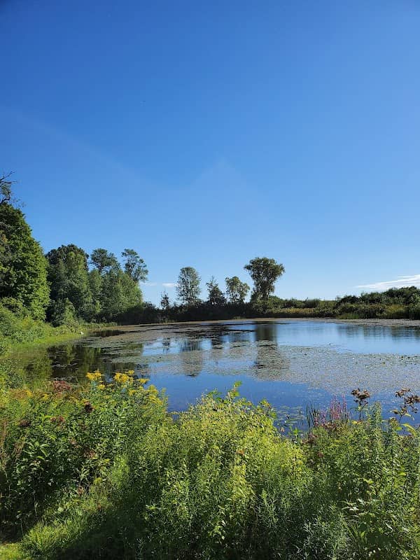 Cataraqui Region Conservation - Image 2