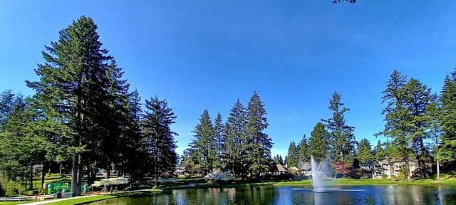 Cherry Park - Image 1