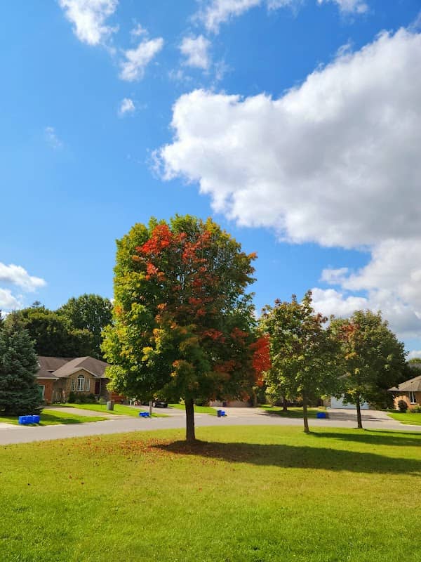 Jim Robins Park - Image 1