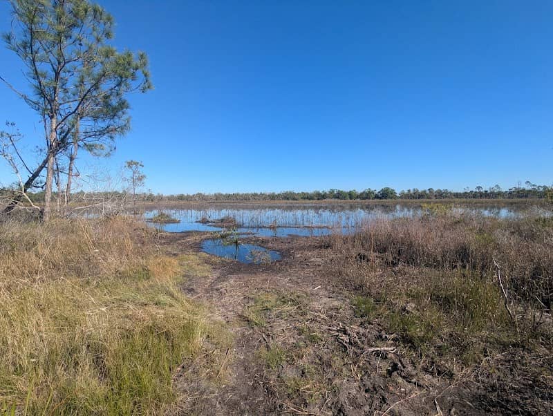Orange Hammock Wildlife Management Area - Image 1