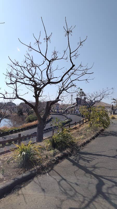 ヒルトップ 広場 - Image 2