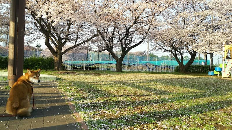 Tsurugaoka Park - Image 1