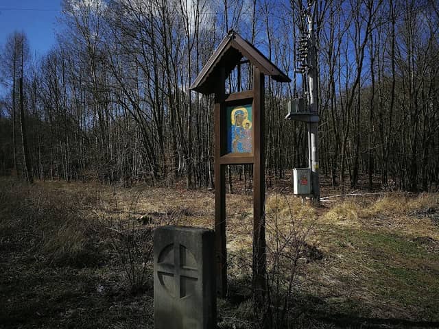 U OBRÁZKU - Image 2