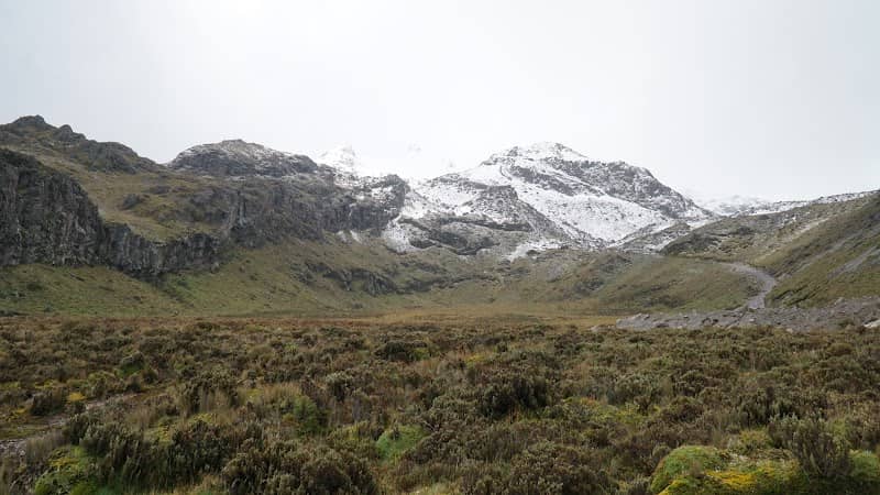 La Planada - Image 1