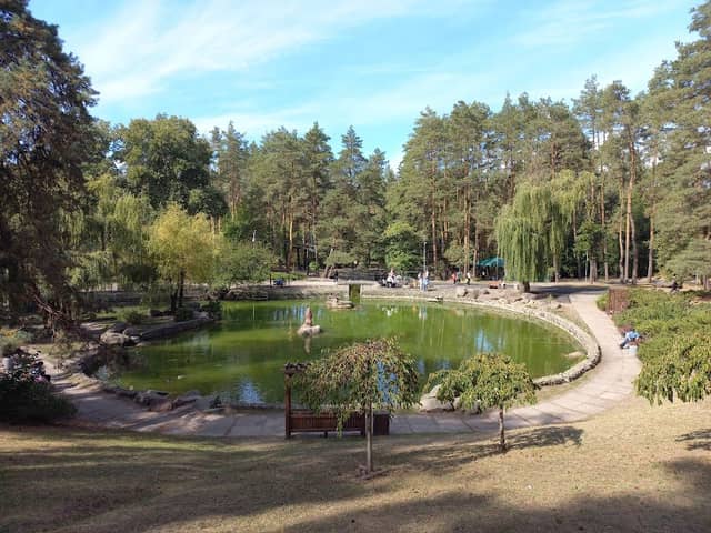 Rusalka - Image 1