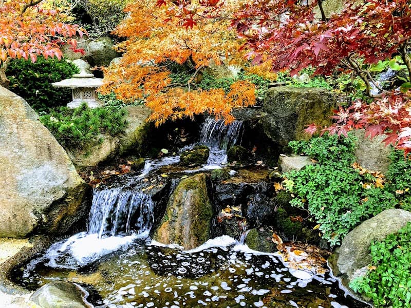 Anderson Japanese Gardens - Image 1