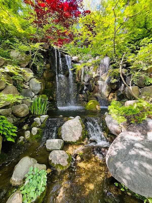 Anderson Japanese Gardens - Image 3