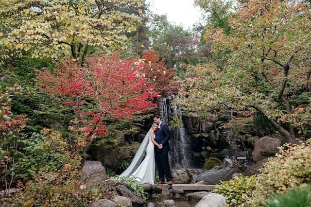 Anderson Japanese Gardens - Image 2