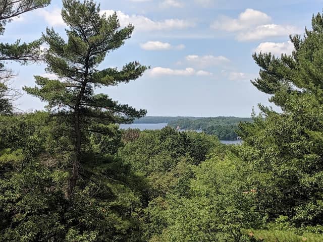 Huckleberry Rock Lookout Trail - Image 2