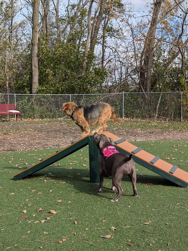 Schiller Park "Bark" Park - Image 1