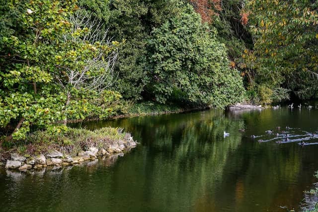 Bonchurch Pond - Image 1