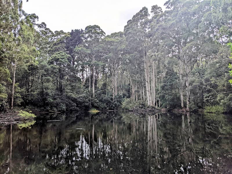 Sanatorium Lake Picnic Ground - Image 1