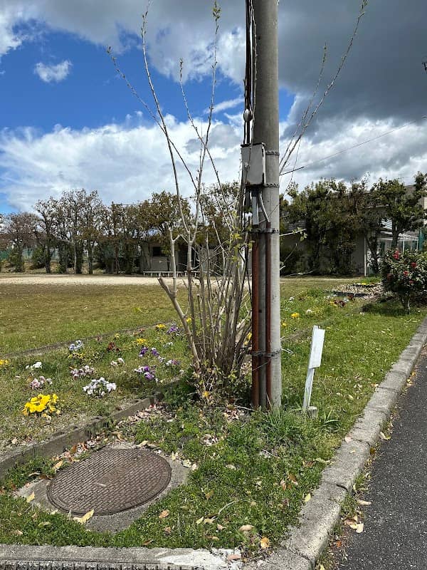 Ogotorinsui Park - Image 2
