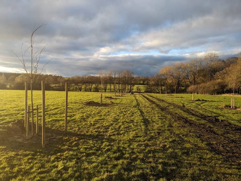 Aspect Nature Reserve - Image 2