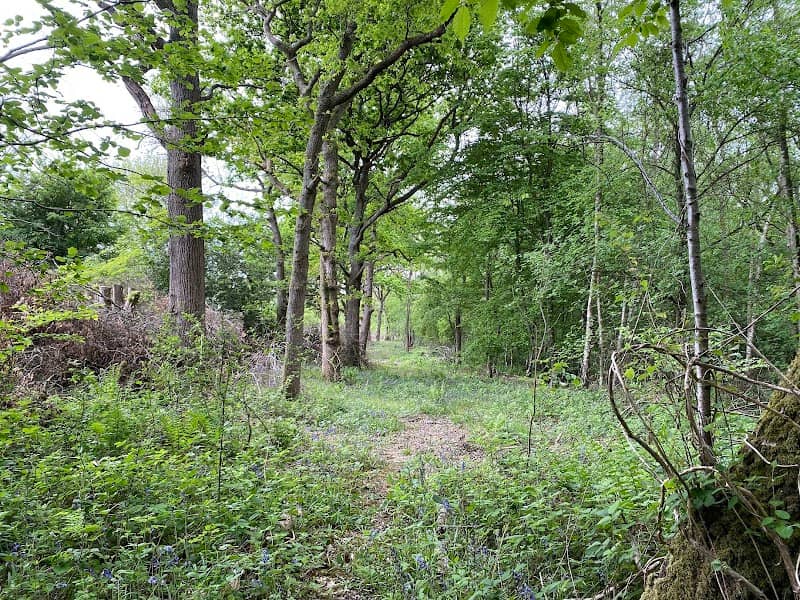 Aspect Nature Reserve - Image 1