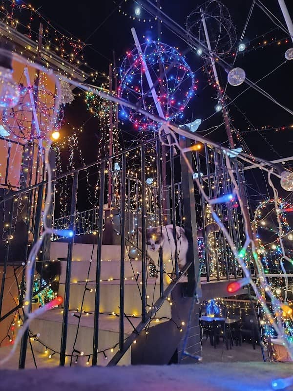 Casa com mais luzes de natal - Image 2