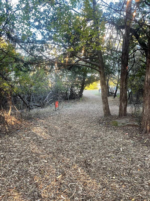 Storybook Forest - Image 2