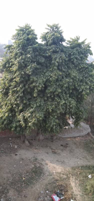 Anand garden - Image 1