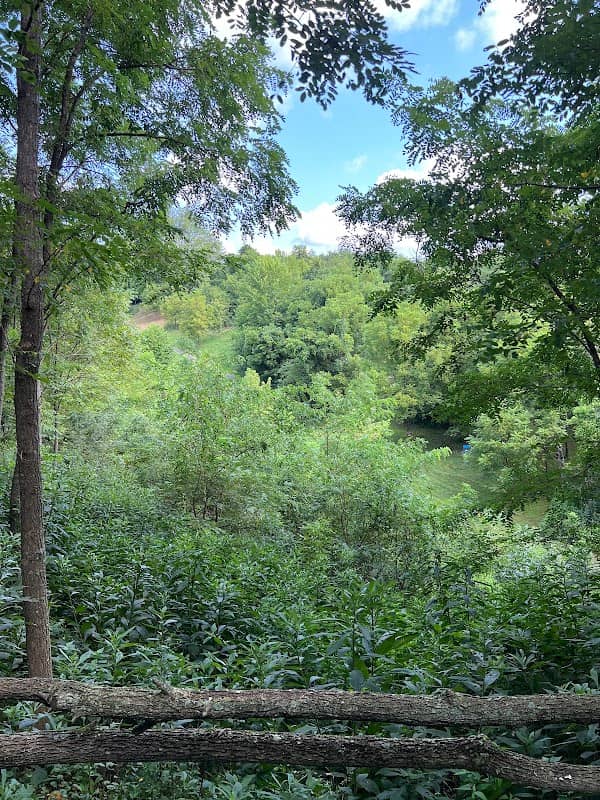 Disc Golf - Image 2