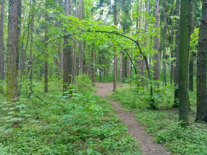 Park - Image 2