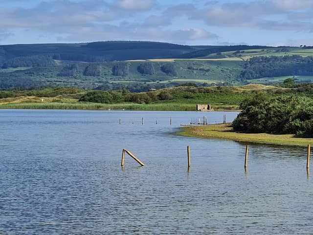 Kenfig National Nature Reserve - Image 3