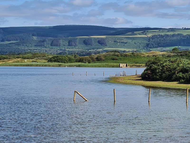 Kenfig National Nature Reserve - Image 3