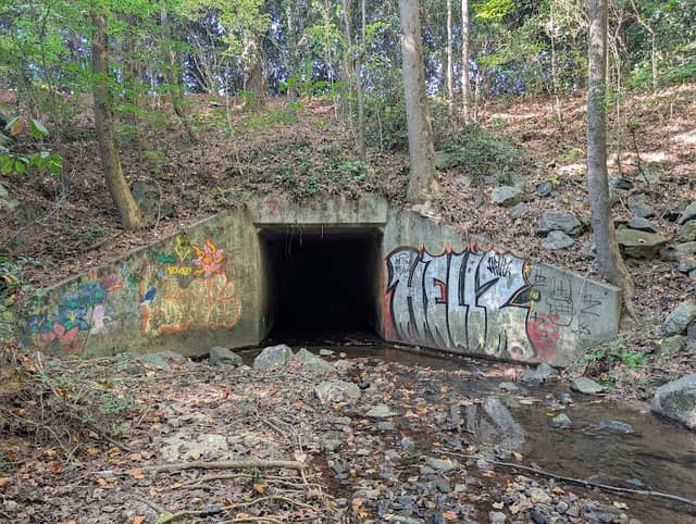 Big Trees Creek Tunnel - Image 1