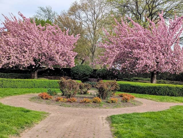 Harrisburg Sunken Garden - Image 3