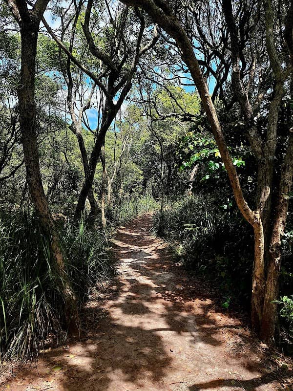 Norah Head Nature Trail - Image 3