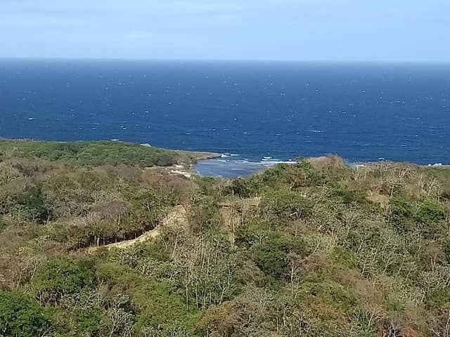 The Lighthouse - Image 1